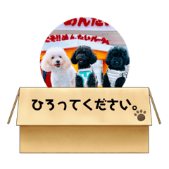 Aoi_20210706174155