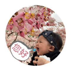 阿均爸爸工作日常