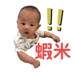 楊一一是我