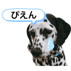 aoi_20210706160858