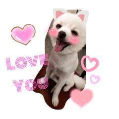 阿毛的內心世界