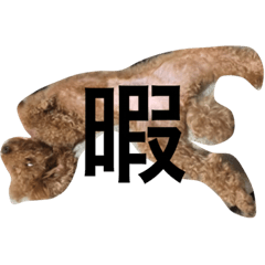 komugichan toy poodle