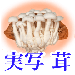 生存的蘑菇
