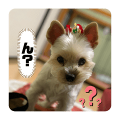 tomomi_20210706223343