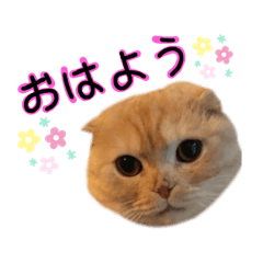 RIHO_20210706234920