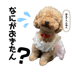 tomomi_20210706221245