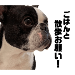 Hikari_20210706175447