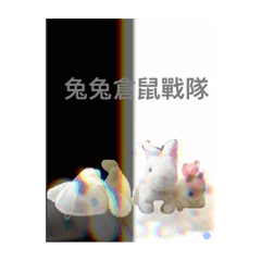 兔兔倉鼠的生活
