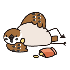 Lazy bird -sparrow
