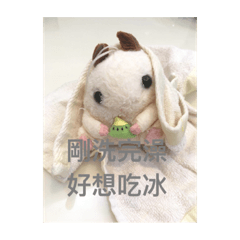 兔兔倉鼠❤️