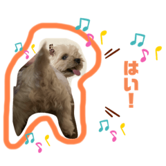 tomomi_20210707112124