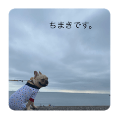 Arisa_20210707140000