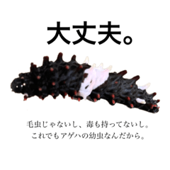 musiyoshi_20210707121036