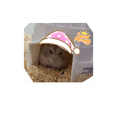 口愛倉倉（倉鼠系列