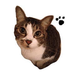 Natsumi_20210707132051