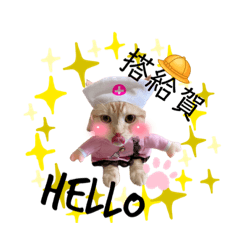 可愛的貓喵