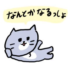 gray cat meow meow 13