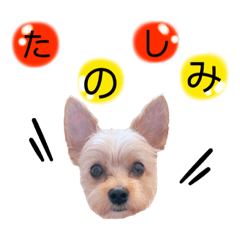 suzu_20210707165501