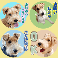 Happy terrier friends' everyday stickers