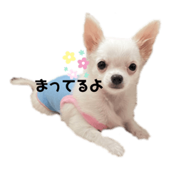hana_20210707194542