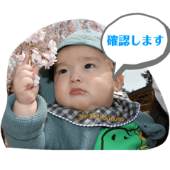RISA_20210708093801