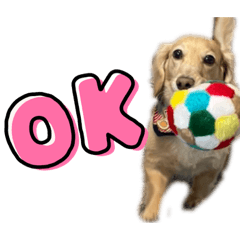 momoko_20210707204401