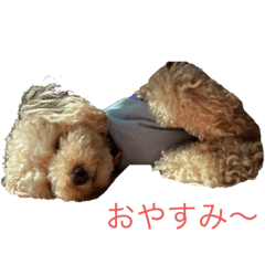 ton_20210707213317