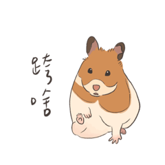 黃金鼠蛋蛋&弟弟