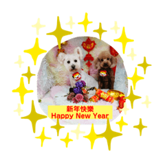 妮娜的寶貝們  圓圓-寶羅