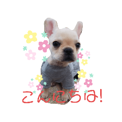 HANA_20210707230725