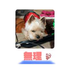 tomomi_20210708122015