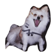 EBInO