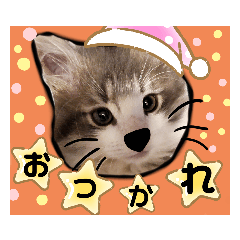 AYUMI_20210708023350