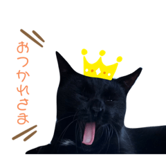 matsu_20210708113906