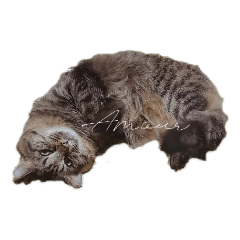 asuka_20210708095950