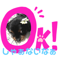 aoi_20210708112611