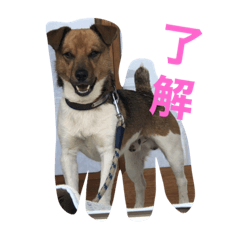 chie_20210708144405