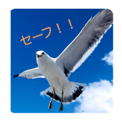 john_20210708090950