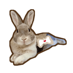 饅肥兔兔