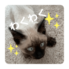 nonta_20210708150156