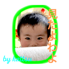 KOTA-3
