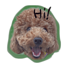 主水くんのスタンプ！第三弾！