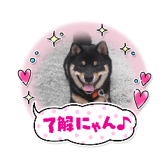 hana_20210708163254