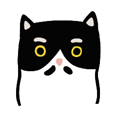 The tuxedo cat, Meow daily