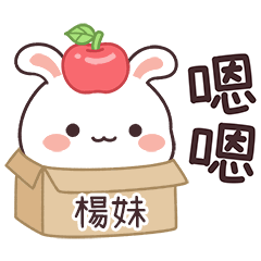 嬌嬌兔姓名貼_楊妹專用