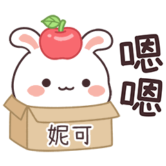嬌嬌兔姓名貼_妮可專用