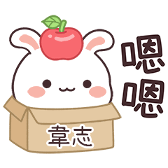 嬌嬌兔姓名貼_韋志專用