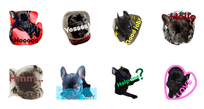 Dog booh (3)
