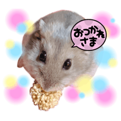 kaori_20210708125753