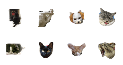 House cat!
